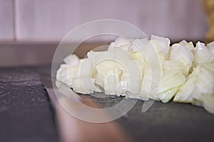 Sliced white onion photo